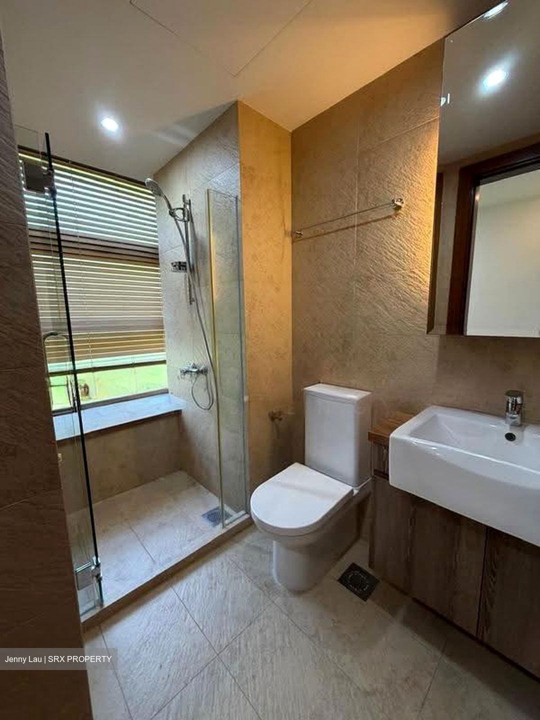 Holland Link (D10), Terrace #631089901